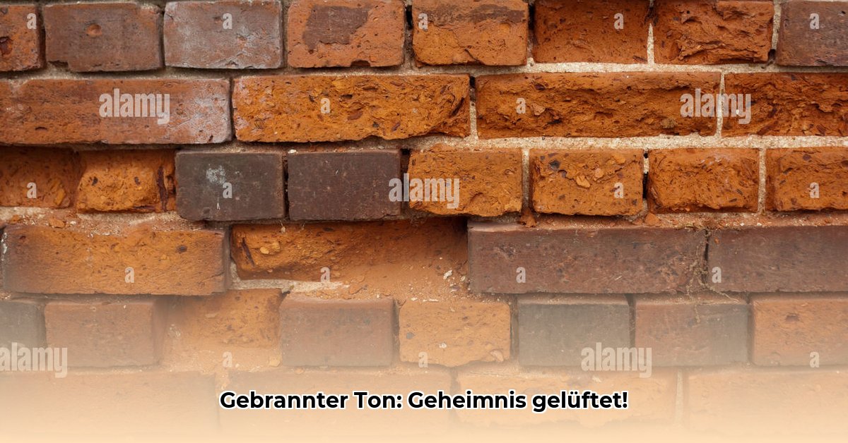 ohne-glasur-gebrannter-ton-10-buchstaben